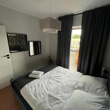 Nice Apartments Stary Toruń المظهر الخارجي الصورة